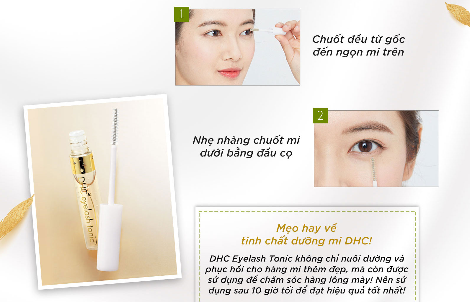 Hướng dẫn sử dụng sản phẩm chăm sóc mi chắc khỏe đến từ nhà DHC