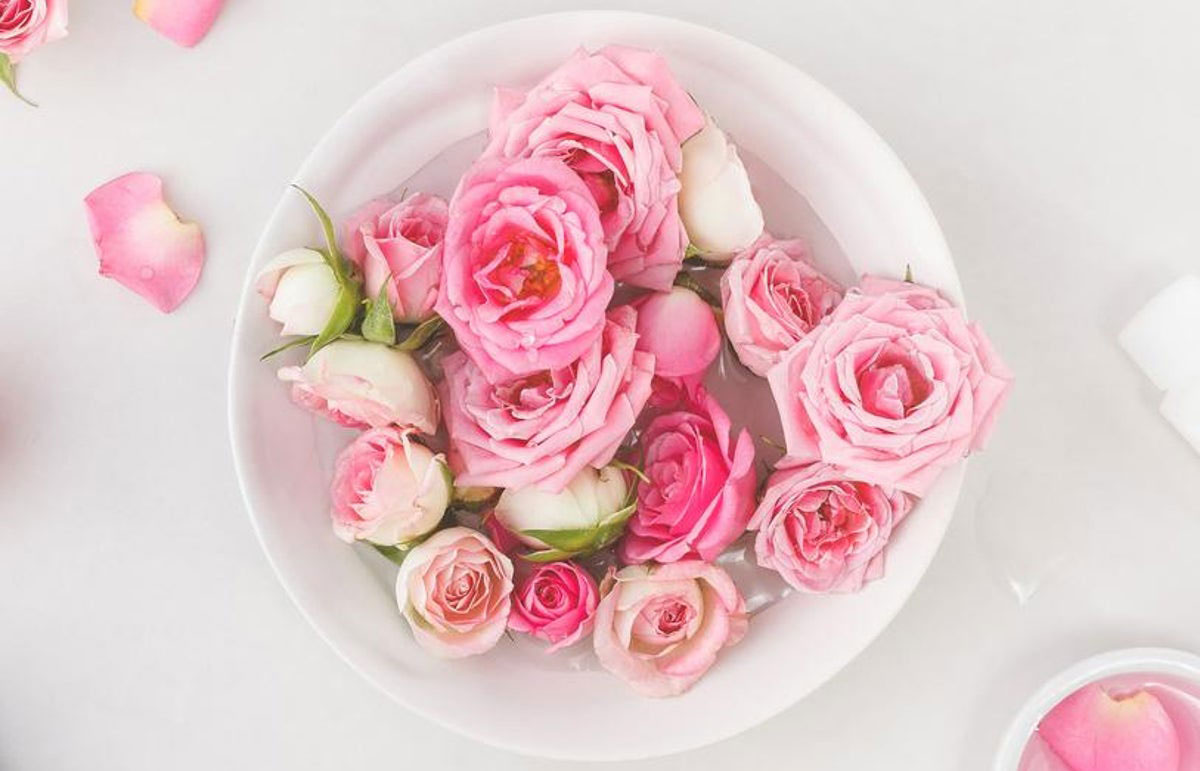 Lựa chọn những bông hồng tươi và thơm nhất