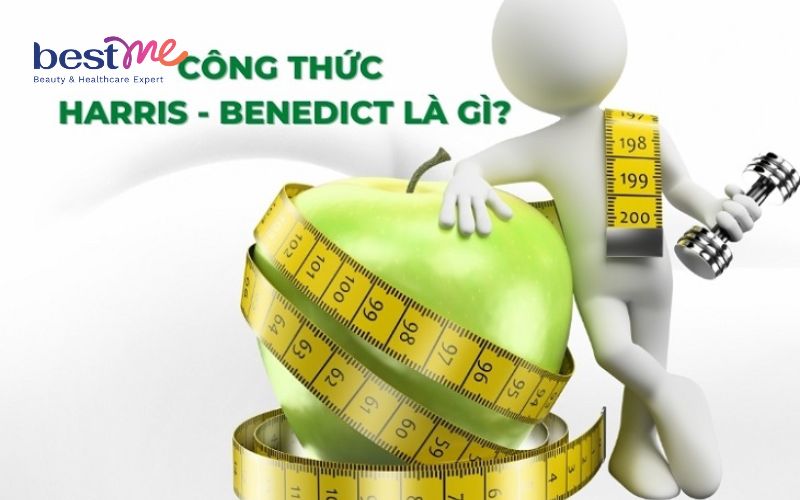  Cách tăng cân nhanh trong 1 tháng và những lưu ý quan trọng cần biết - 4