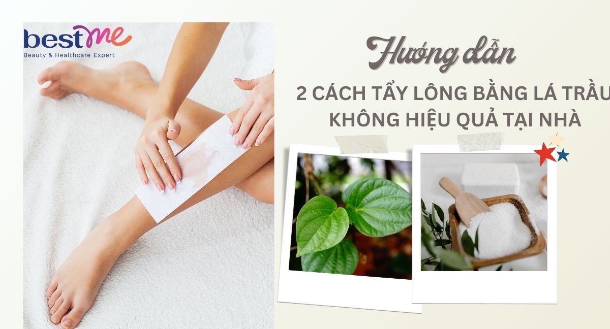 Hướng dẫn 2 cách tẩy lông bằng lá trầu không hiệu quả tại nhà