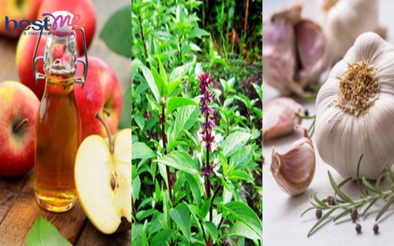 cach-tri-mun-nhot-o-tai-trong-lo-tai-an-toan-hieu-qua-nhat-7 Cách trị mụn nhọt ở tai, trong lỗ tai an toàn hiệu quả nhất - 7
