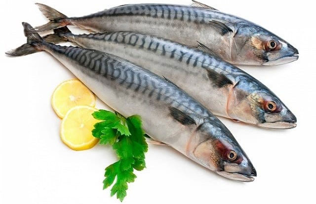 Omega-3 có dồi dào trong động vật như cá béo