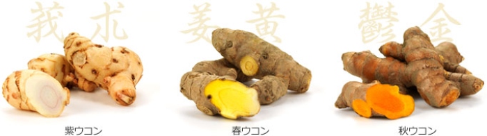 Thành phần 3 loại nghệ được tuyển chọn khắt khe trong sản phẩm