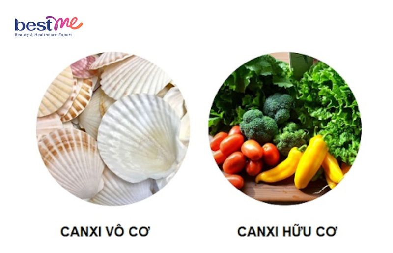 Sự khác biệt của canxi hữu cơ và vô cơ
