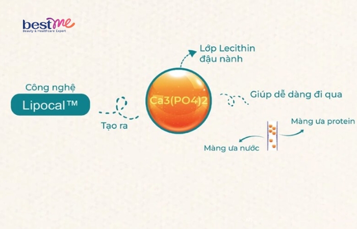 Calcium sinh học nổi bật với khả năng hấp thụ dễ dàng