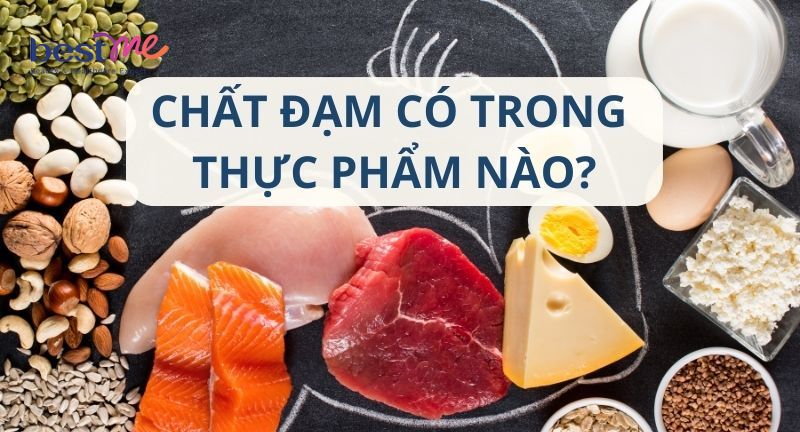 Chất đạm có trong thực phẩm nào, loại nào chứa nhiều đạm nhất?