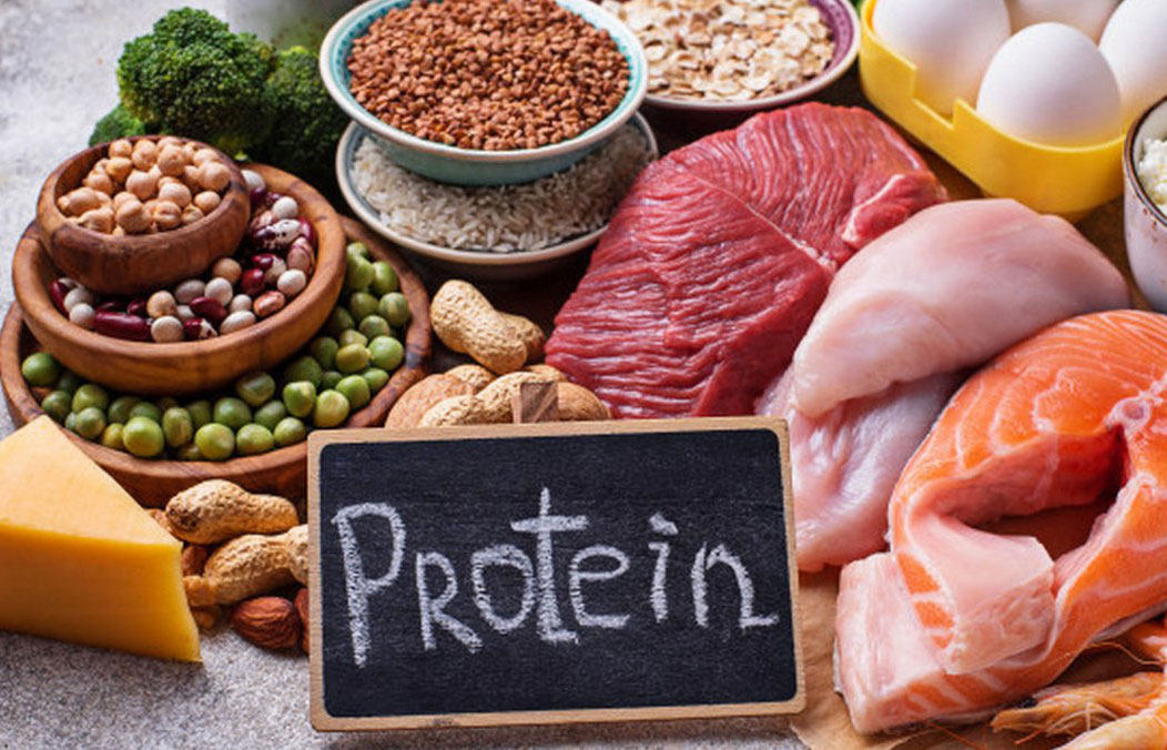 Tăng cường Protein sẽ hỗ trợ giảm mỡ tăng cơ