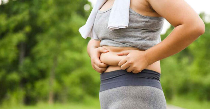 Mỡ bụng hình thành do tích lũy mỡ thừa từ quá trình tạo năng lượng cho cơ thể
