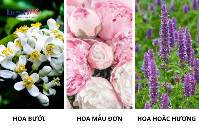 Công thức mùi hương độc đáo của sản phẩm
