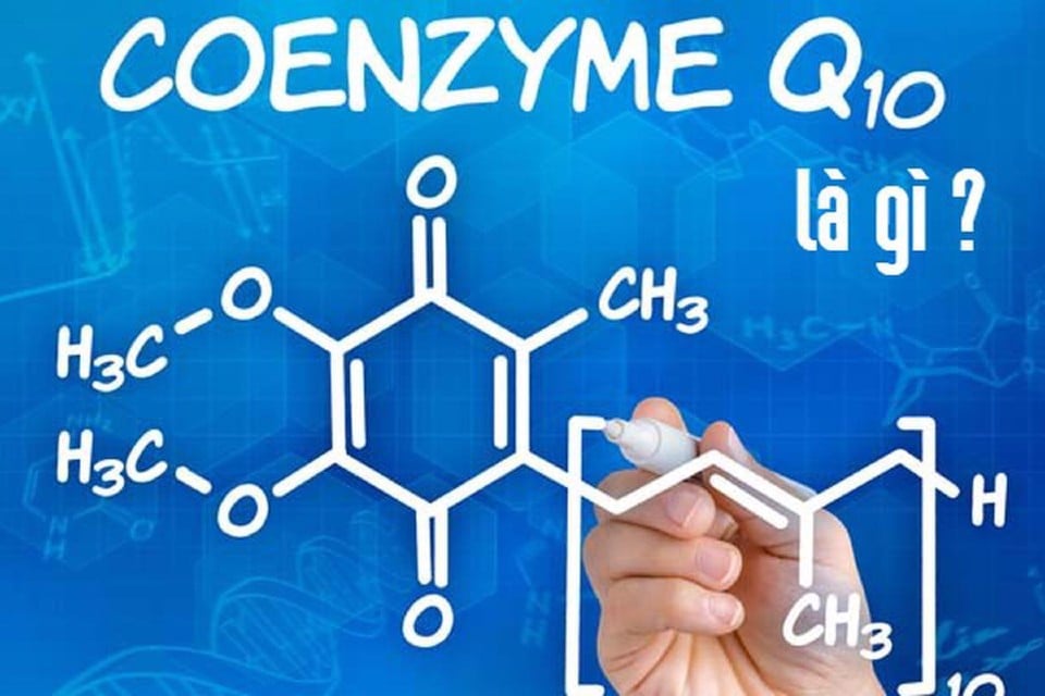 Coenzyme có khác gì so với enzyme?

