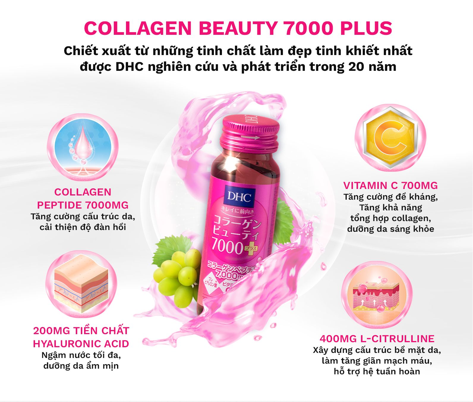 Cam kết thành phần collagen nước DHC