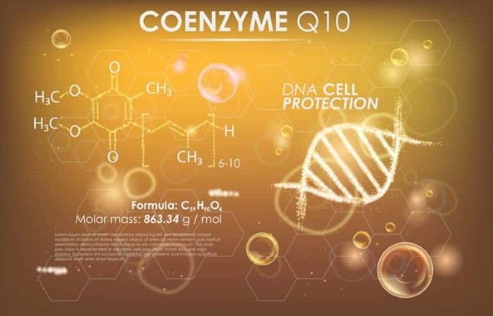 Công dụng của coenzyme q10