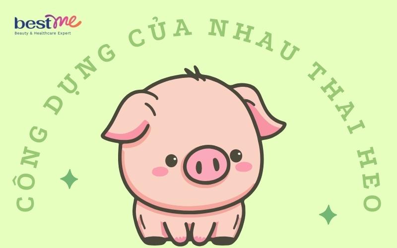 Công dụng của nhau thai heo
