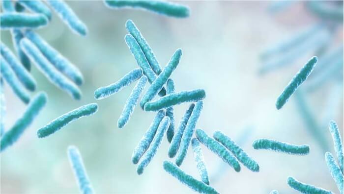 Men vi sinh giúp cân bằng tỷ lệ vi khuẩn lợi-hại trong cơ thể