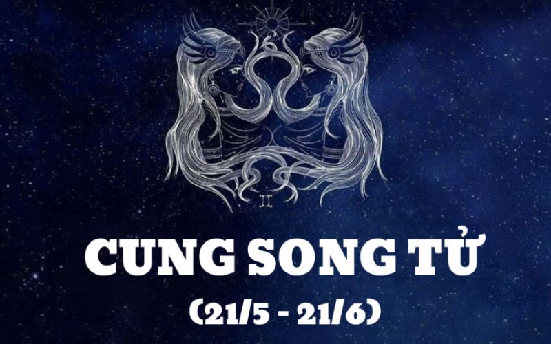 Cung Song Tử - 1