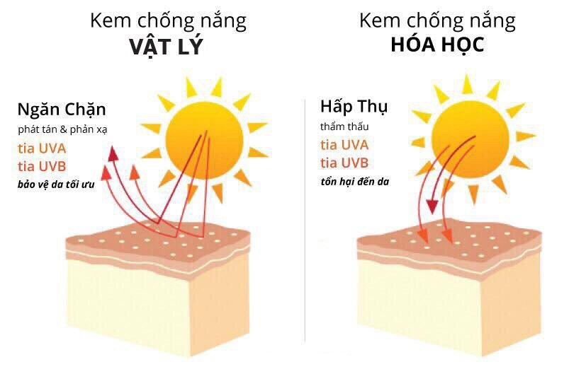 Kem chống nắng vật lý bảo vệ da bằng cách tạo ra một lớp phủ vật lý để ngăn chặn và phản xạ tia UV từ ánh sáng mặt trời