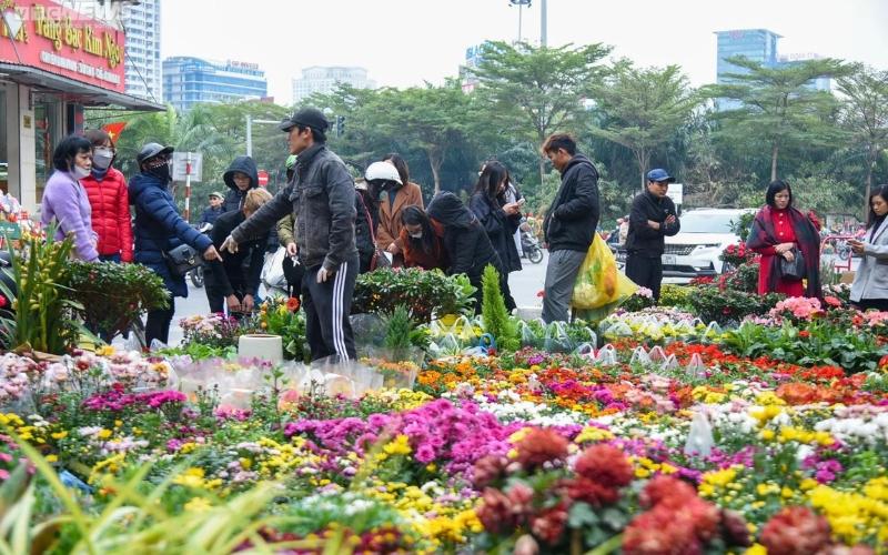 danh-sach-18-cho-hoa-tet-2024-dep-nhat-ha-noi-va-sai-gon-2 Danh sách 18 chợ hoa Tết 2024 đẹp nhất Hà Nội và Sài Gòn - 2