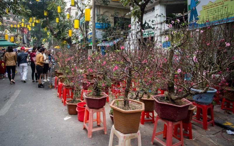 danh-sach-18-cho-hoa-tet-2024-dep-nhat-ha-noi-va-sai-gon-4 Danh sách 18 chợ hoa Tết 2024 đẹp nhất Hà Nội và Sài Gòn - 4