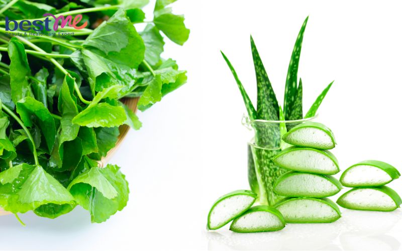 Giảm mụn nhờ rau má và nha đam