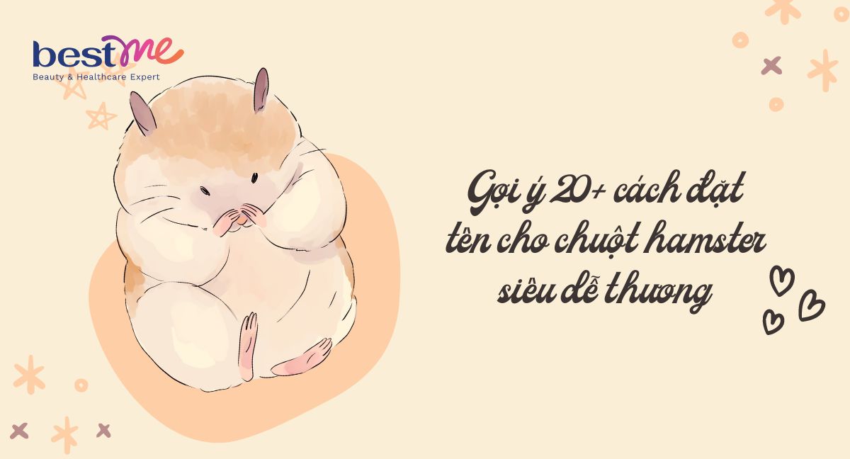 Gợi ý 20+ cách đặt tên cho chuột hamster siêu dễ thương