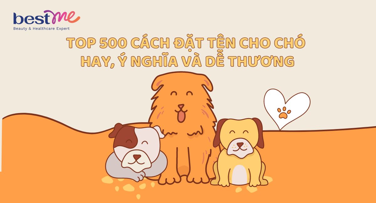 TOP 500 cách đặt tên cho chó hay, ý nghĩa và dễ thương