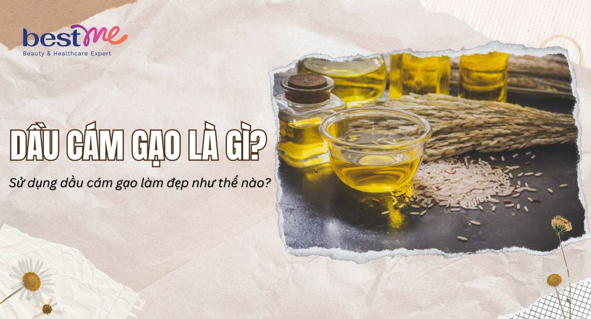 Dầu cám gạo là gì? Sử dụng dầu cám gạo làm đẹp như thế nào?