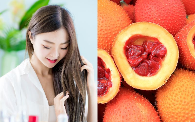 dau-gac-co-tot-cho-da-khong-mot-so-luu-y-khi-su-dung-8 Dầu gấc có tốt cho da không? Một số lưu ý khi sử dụng - 8