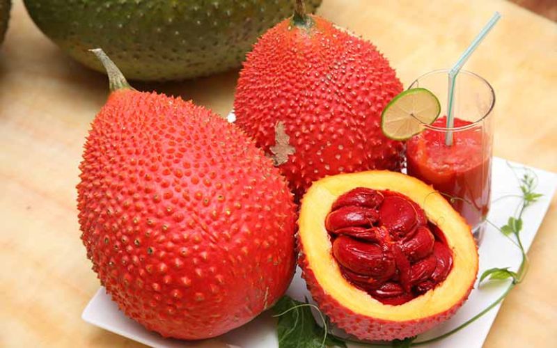 dau-gac-co-tot-cho-da-khong-mot-so-luu-y-khi-su-dung-9 Dầu gấc có tốt cho da không? Một số lưu ý khi sử dụng - 9