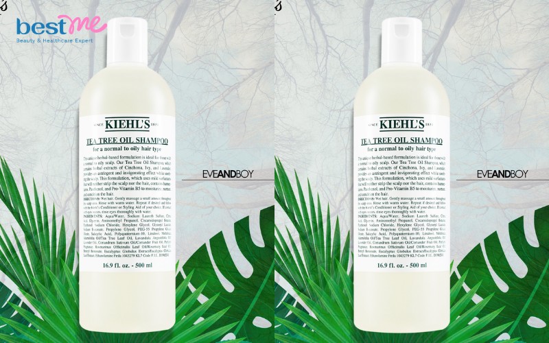 Review top 10 dầu gội kiềm dầu cho tóc dầu và rụng - 9