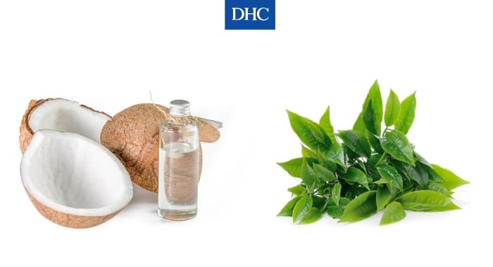 Cách làm dài lông mi bằng dầu dừa và chè xanh