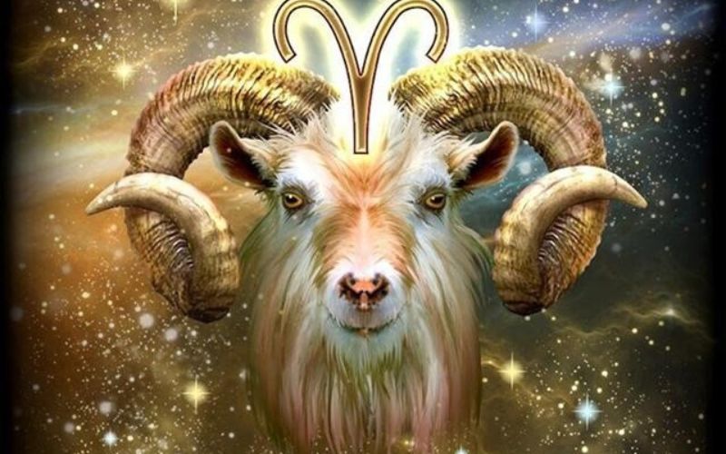 Dự đoán tử vi 12 cung hoàng đạo tuần này 29/1 - 4/2: Sư Tử nhiều cơ hội mới cả trong công việc và cuộc sống - 1