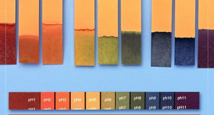 Dùng giấy quỳ tím là cách thông dụng nhất để đo độ pH