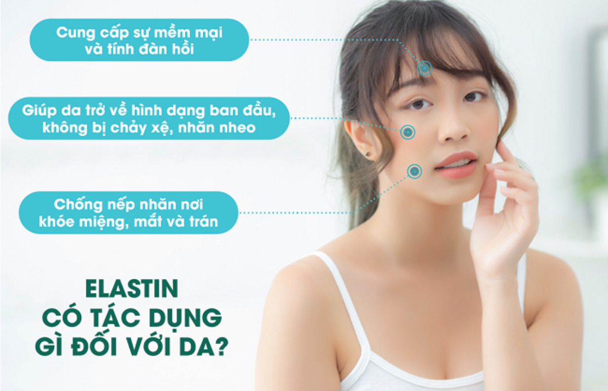 Những lợi ích của elastin đối với làn da