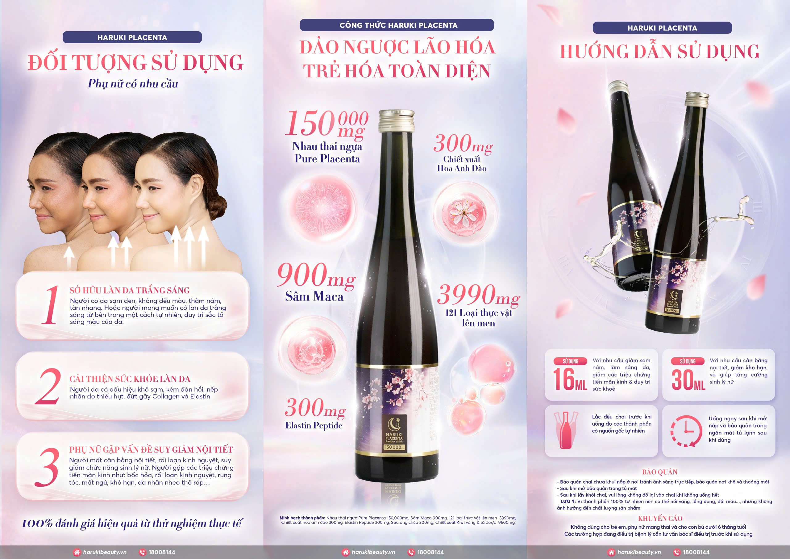 Flyer Haruki Placenta