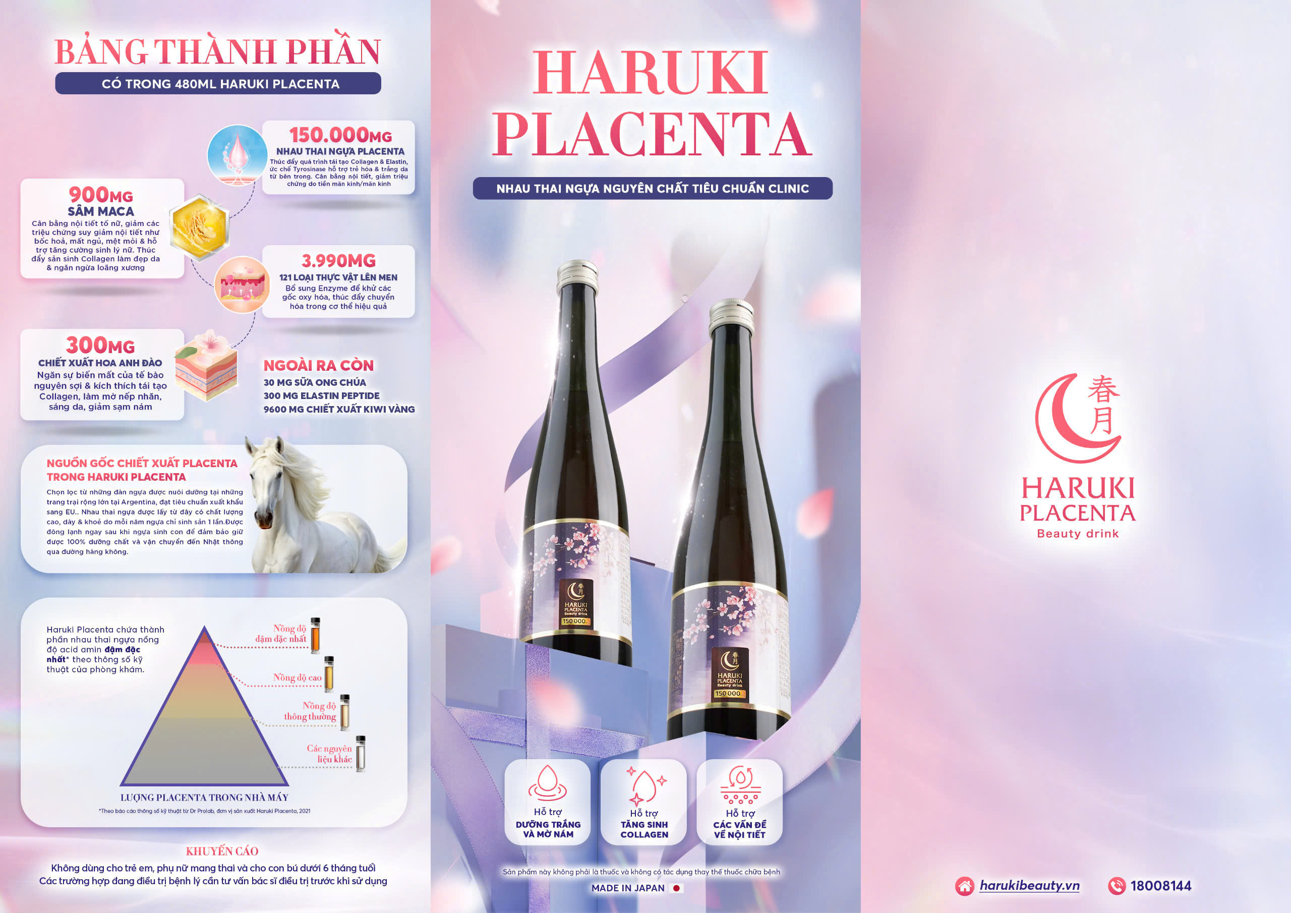 Flyer Haruki Placenta