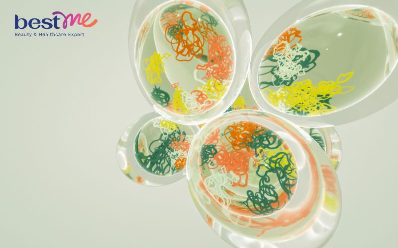 Acid folic vốn nổi bật với khả năng hỗ trợ cơ thể sản xuất và duy trì các tế bào mới