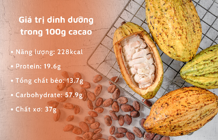 Giá trị dinh dưỡng mà cacao đem lại