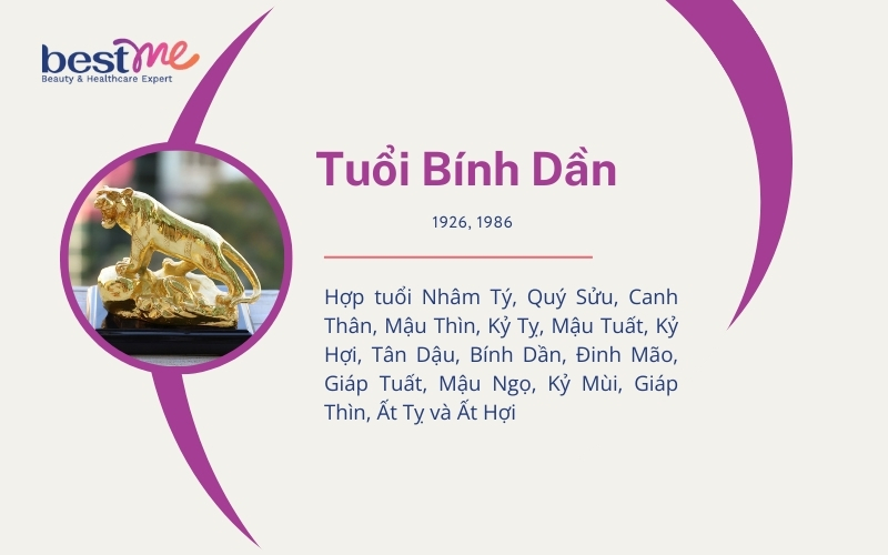 Giải mã Tuổi dần hợp với tuổi nào, không hợp tuổi nào nhất? - 2