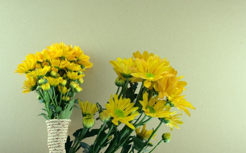 Gợi ý 8 loại hoa cúng ông Táo hợp phong thủy, nhận nhiều tài lộc - 1