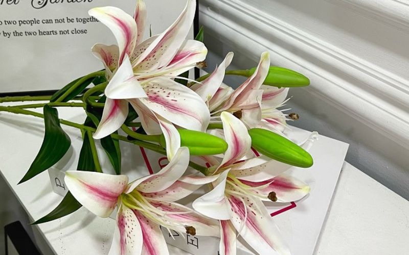 Gợi ý 8 loại hoa cúng ông Táo hợp phong thủy, nhận nhiều tài lộc - 12