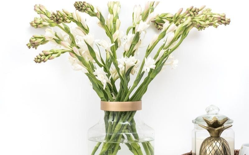 Gợi ý 8 loại hoa cúng ông Táo hợp phong thủy, nhận nhiều tài lộc - 5