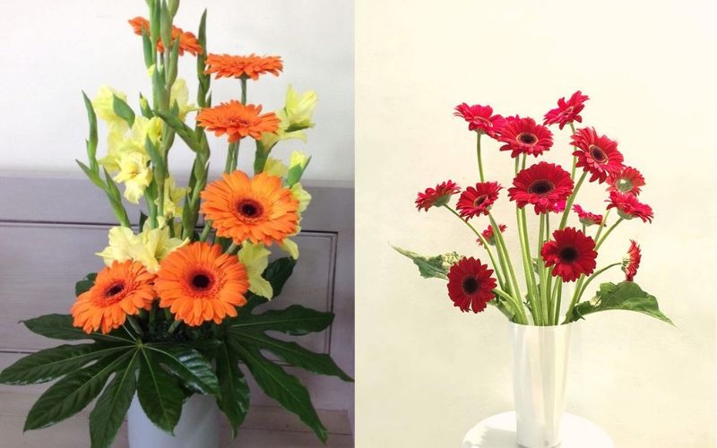 Gợi ý 8 loại hoa cúng ông Táo hợp phong thủy, nhận nhiều tài lộc - 7