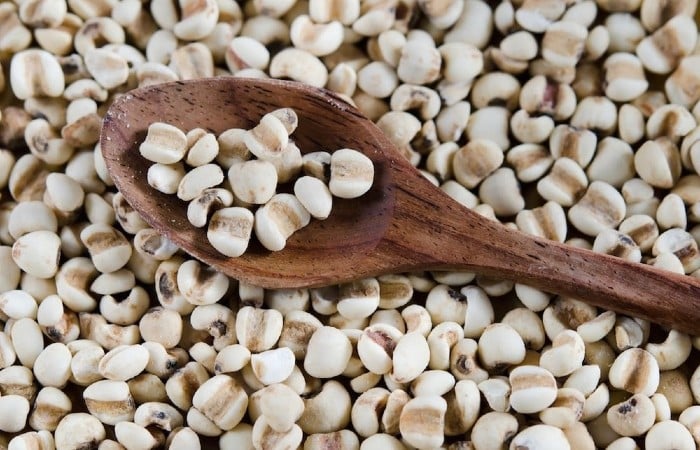 Thành phần chính của viên uống trắng da DHC là hạt dĩ ý được mệnh danh là “ngọc lúa mạch”