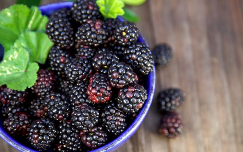 Quả mâm xôi đen 