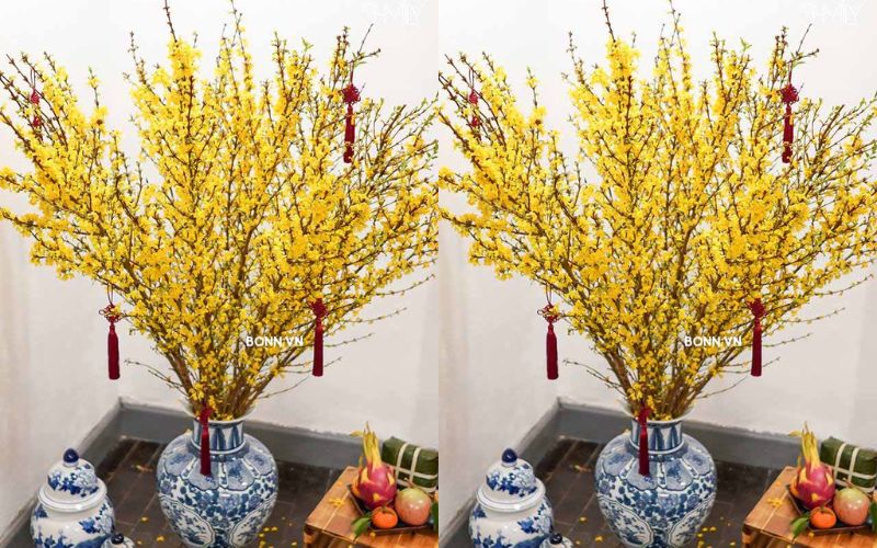 huong-dan-cach-cam-binh-hoa-mai-my-chung-tet-2024-dep-nhat-10 Hướng dẫn cách cắm bình hoa mai Mỹ chưng Tết 2024 đẹp nhất - 10
