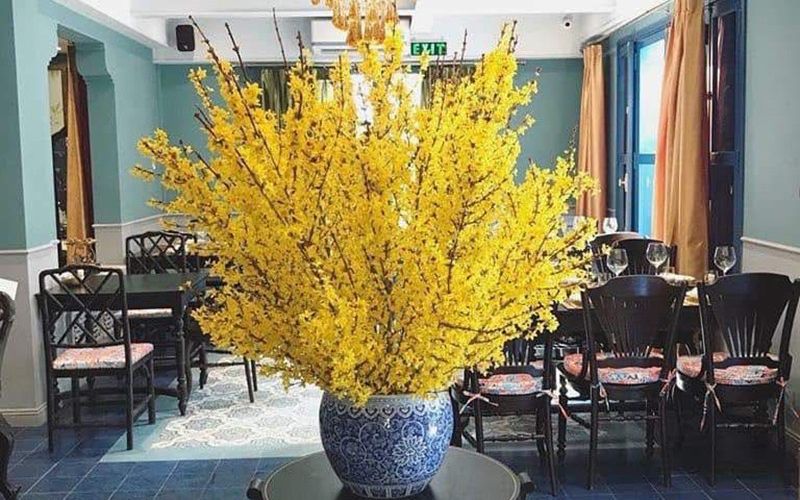 huong-dan-cach-cam-binh-hoa-mai-my-chung-tet-2024-dep-nhat-5 Hướng dẫn cách cắm bình hoa mai Mỹ chưng Tết 2024 đẹp nhất - 5