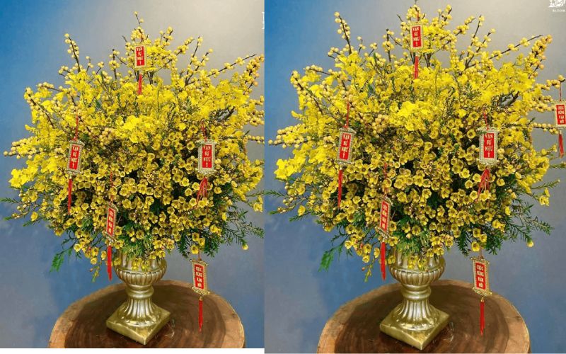 Hướng dẫn cách cắm bình hoa mai Mỹ chưng Tết 2024 đẹp nhất - 9