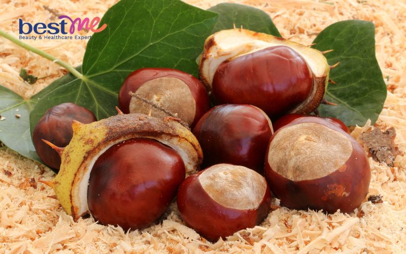 huong-dan-cach-lam-bo-kho-sa-ot-ngon-chuan-vi-cho-bua-com-hang-ngay-9 Hướng dẫn cách làm bò kho sả ớt ngon chuẩn vị cho bữa cơm hàng ngày - 9