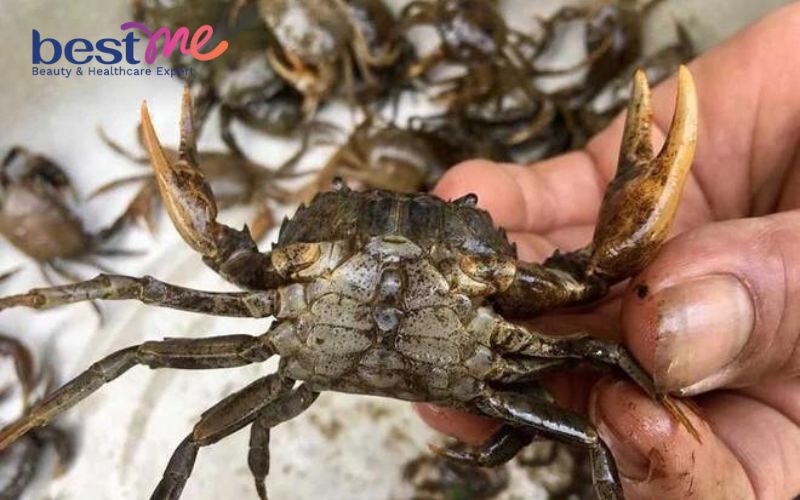 huong-dan-cach-nau-lau-rieu-cua-bap-bo-suon-sun-chuan-vi-ngon-dung-dieu-9 Hướng dẫn cách nấu lẩu riêu cua bắp bò sườn sụn chuẩn vị ngon đúng điệu - 9