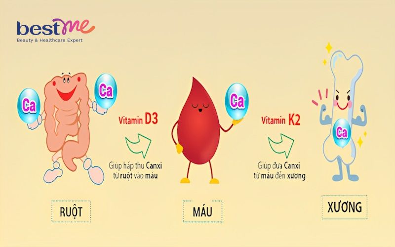 Hướng dẫn cách uống vitamin D3 cho trẻ sơ sinh - 1